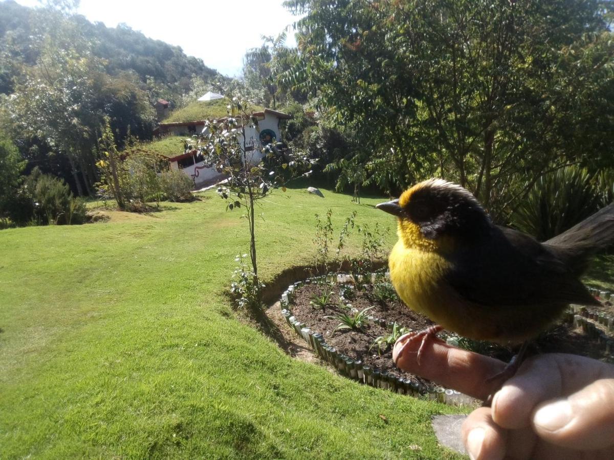 Jardin Colibri RNT 33633 Villa Guatavita Exterior foto