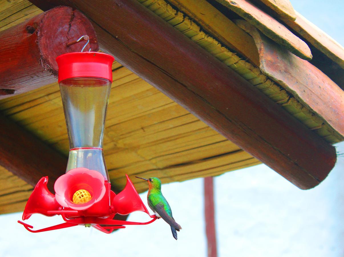 Jardin Colibri RNT 33633 Villa Guatavita Exterior foto